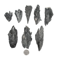 Kyanite - Black, Rough