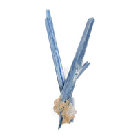 Kyanite, Blue - AA Grade Specimen