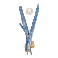 Kyanite, Blue - AA Grade Specimen