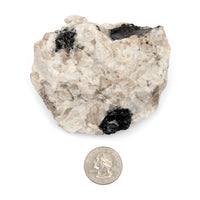 Tourmaline - Black w/ Quartz and Mica