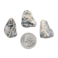 Agate, Dendritic - Tumbled Stones