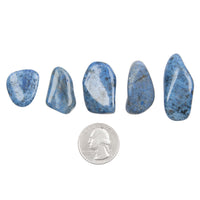 Dumortierite- Polished, Tumbled