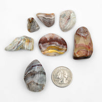 Agate, Crazy Lace - Tumbled