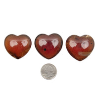 Amber, Hearts - Light & Dark