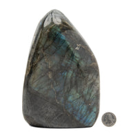 Labradorite- Rainbow, Free Form