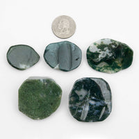 Agate - Moss, Discs