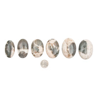 Polarized Moonstone - Palm Stones