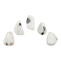 Moonstone - Rainbow, A Grade, Blue Flash, Tumbled