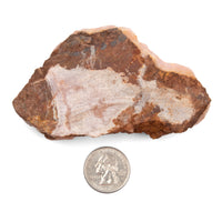 Aragonite - Pink, Rough
