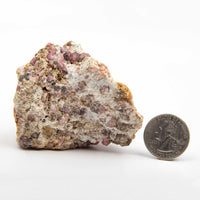 Garnet - Pink, Rough w/ Vesuvianite