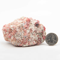 Garnet - Pink, Rough w/ Vesuvianite