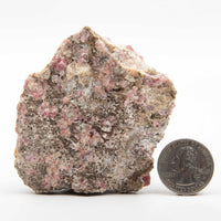 Garnet - Pink, Rough w/ Vesuvianite