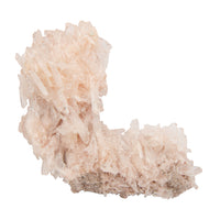 Pink Lemurian