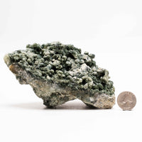 Prehnite with Epidote- Rough