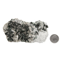 Selenite with Pyrite