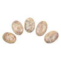 Sunstone in Moonstone - Palms, Intuitive Picks