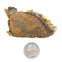 Wulfenite - Rough, Fragile