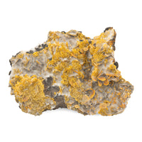Wulfenite - Rough, Fragile