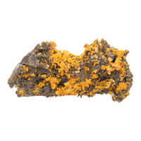 Wulfenite - Rough, Fragile
