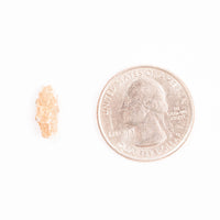 Lunar Meteorite - Bechar 007