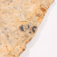 Slaty Shale Record - Earth Love Gallery Collection