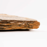 Slaty Shale Record - Earth Love Gallery Collection