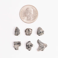 Alexandrite - Terminated Pieces - Intuitive Pick - Earth Love Gallery Collection