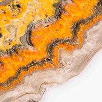 Bumble Bee Jasper - Slab, Large