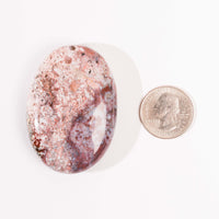 Jasper, Unicorn - Palm, Polished