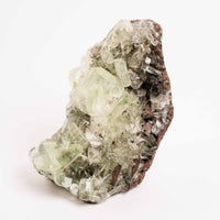 Apophyllite, Green - Cluster