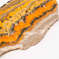 Jasper, Bumble Bee - Slab, Large