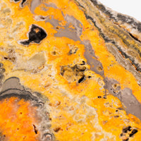Bumble Bee Jasper - Slab, Large
