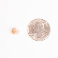 Lunar Meteorite - Bechar 007