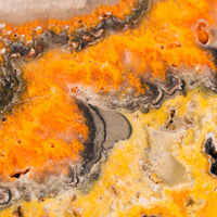 Jasper, Bumble Bee - Slab, Large