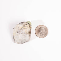 Prehnite w/ Black Quartz - Rough