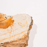 Slaty Shale Record - Earth Love Gallery Collection