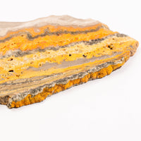 Jasper, Bumble Bee - Slab, Large