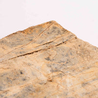 Slaty Shale Record - Earth Love Gallery Collection