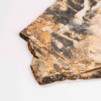 Slaty Shale Record - Earth Love Gallery Collection