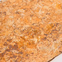 Slaty Shale Record - Earth Love Gallery Collection