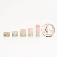 Watermelon Tourmaline - Intuitive Picks