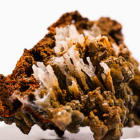 Mottramite Specimen