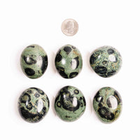 Jasper, Kambaba - Palm Stone(s)