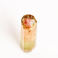 Watermelon Tourmaline