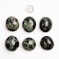 Jasper, Kambaba - Palm Stone(s)