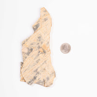 Slaty Shale Record - Earth Love Gallery Collection