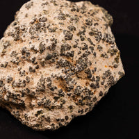 Opal Green, Rhyolite - Geode