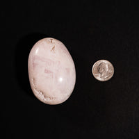 Calcite, Mangano - Palm