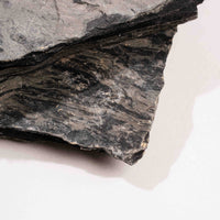 Slaty Shale Record - Earth Love Gallery Collection