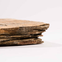 Slaty Shale Record - Earth Love Gallery Collection